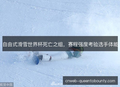 自由式滑雪世界杯死亡之组，赛程强度考验选手体能