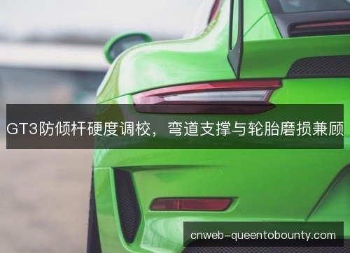 GT3防倾杆硬度调校，弯道支撑与轮胎磨损兼顾
